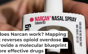 Naloxone competes with opioids for the same receptor on the surface of neurons. Matt Rourke/AP Photo